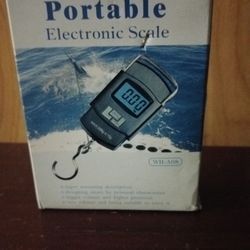Electronic scale