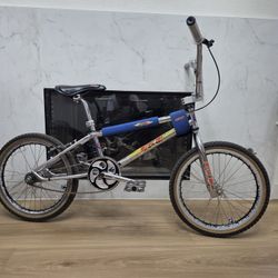 1995 Gt Pro Series Team