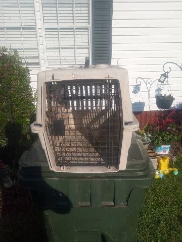 Dog Carrier