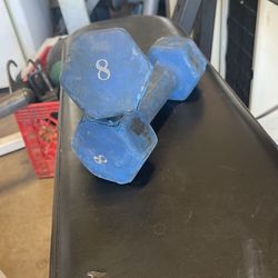 Rubber Coated 8lb Dumbbells