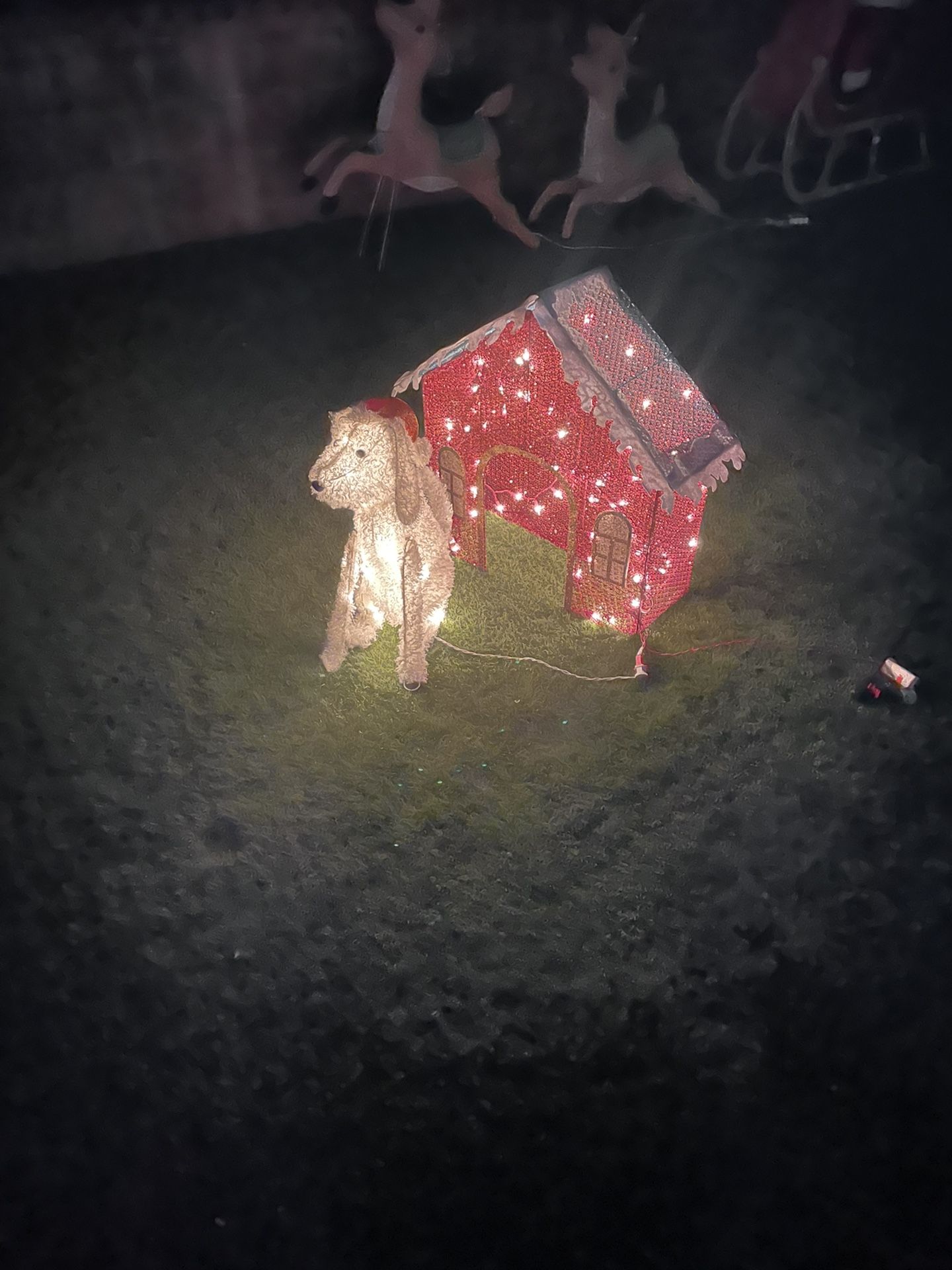 Outdoor Christmas decorations