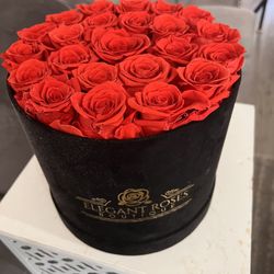 Everlasting Roses Mothers Day Gift 1 Year Lasting Roses 