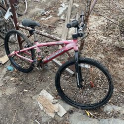 Bmw Damondback 24”