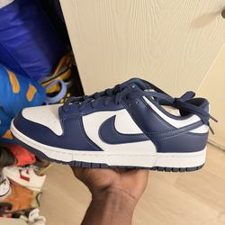 Size 13 Dunks Ds 