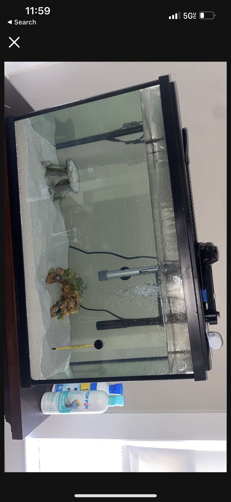 Entire Fish Tank Set Up