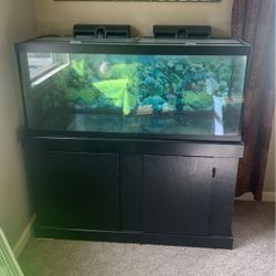 75 gallon fish tank with filters and accessories