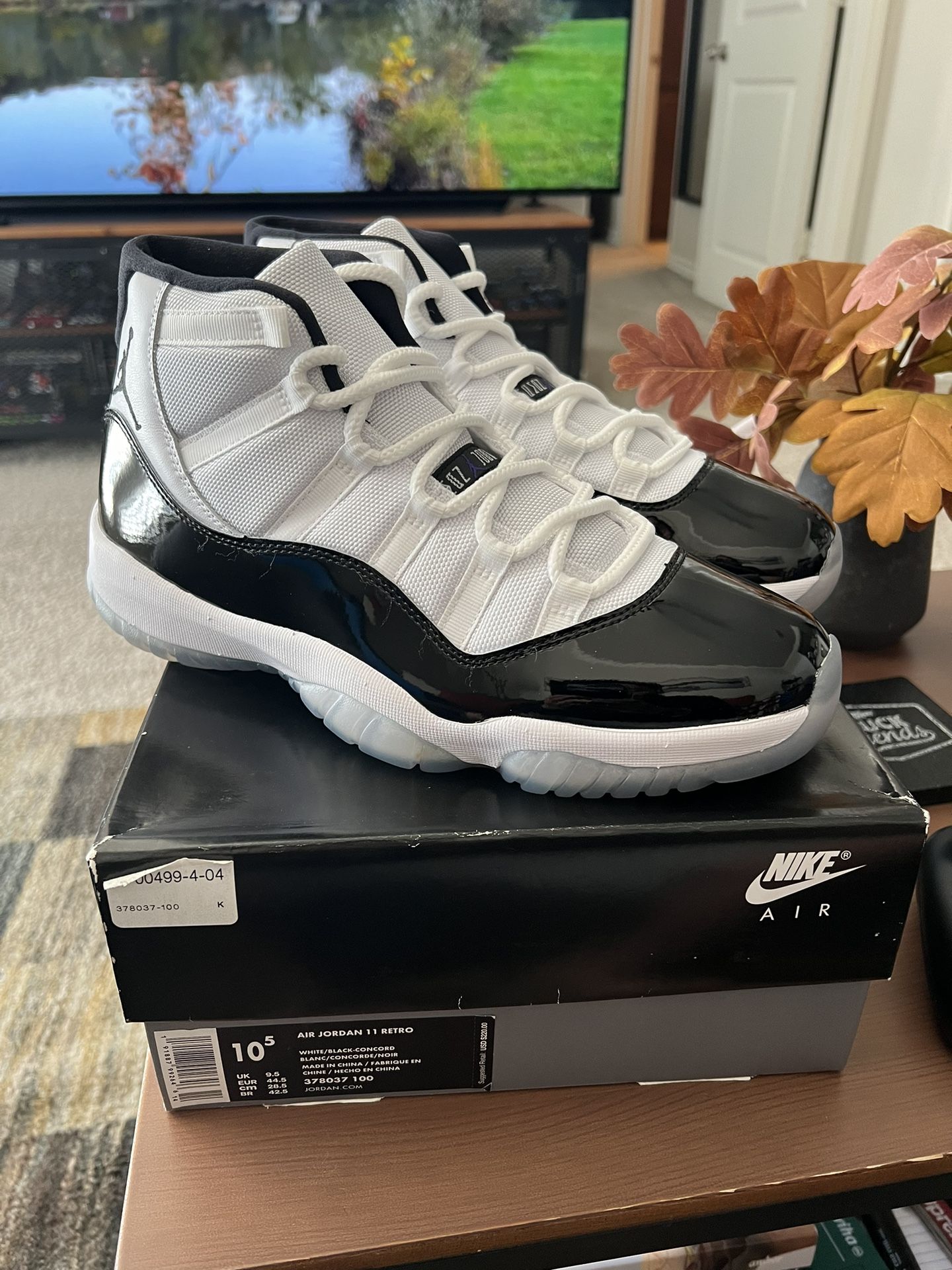 Air Jordan 11 Concord