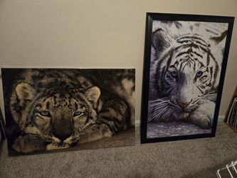 Large Framed Picture