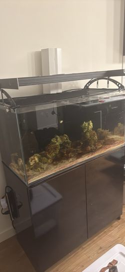 Full saltwater setup 60 gallon system