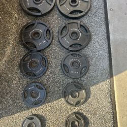 Olympic Size Plates