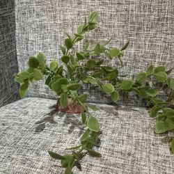 🟢AVAILABLE 🟢Plastic Plants For A Fish Tank $2 Each, $10 Minimum 