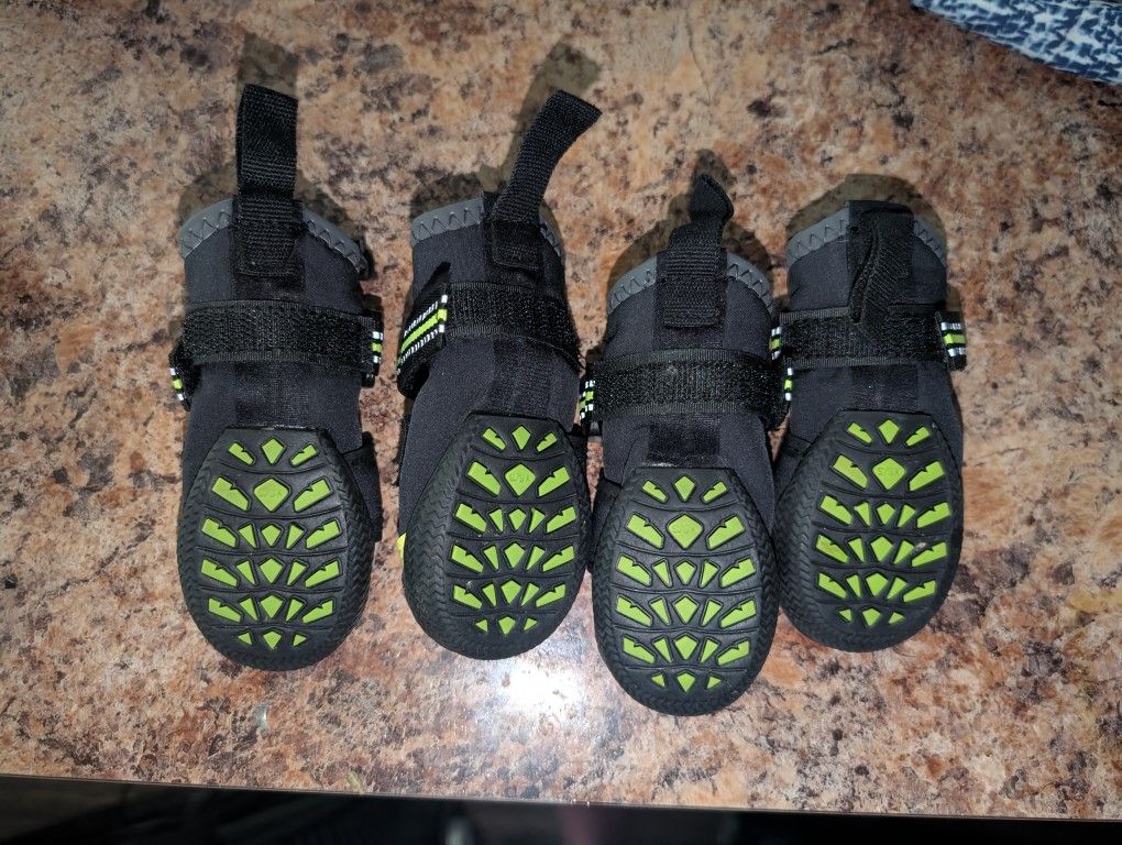 Extra Small Dog Shoe