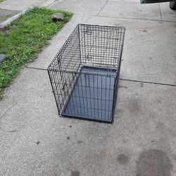 Dog Cage