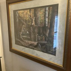 Deer Picture Good For Man Cave Or Cabin