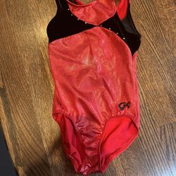 Cute girls Gymnastics Leotard size Childs Large