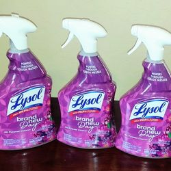 Lysol Disinfecting Spray $3.50 Each- X Streets Ray and Higley 