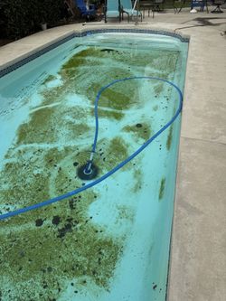 Pool Cleaning 