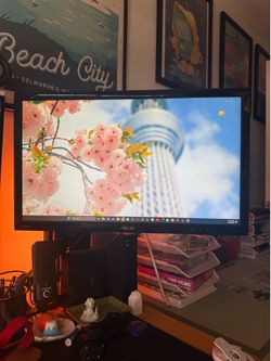 Computer Monitor - ASUS VS248