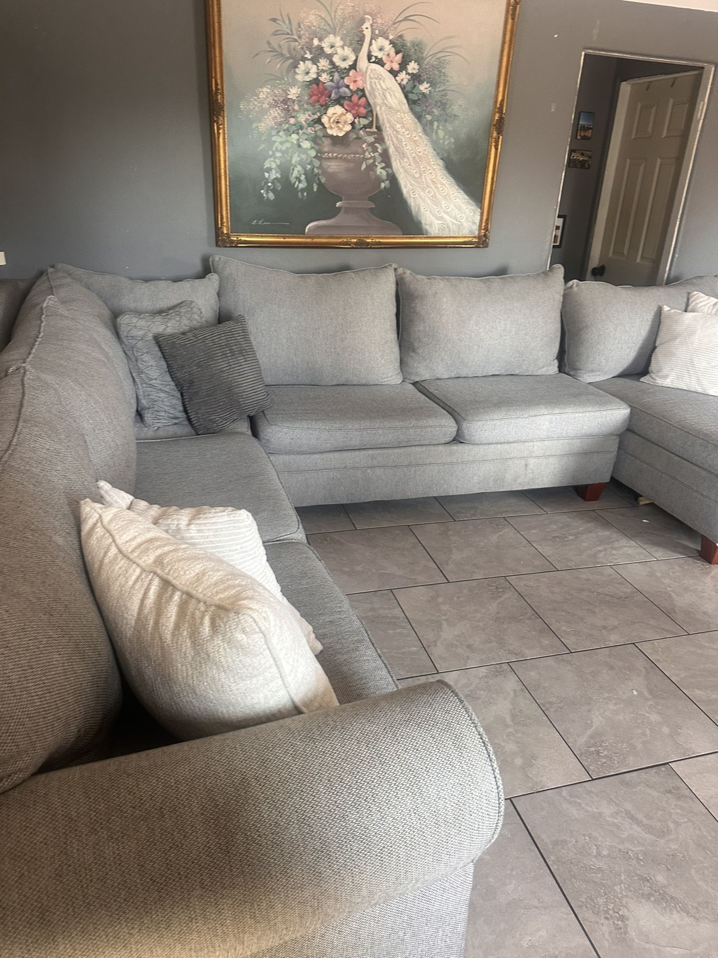 Sectional Grey Couch