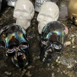 Skeleton