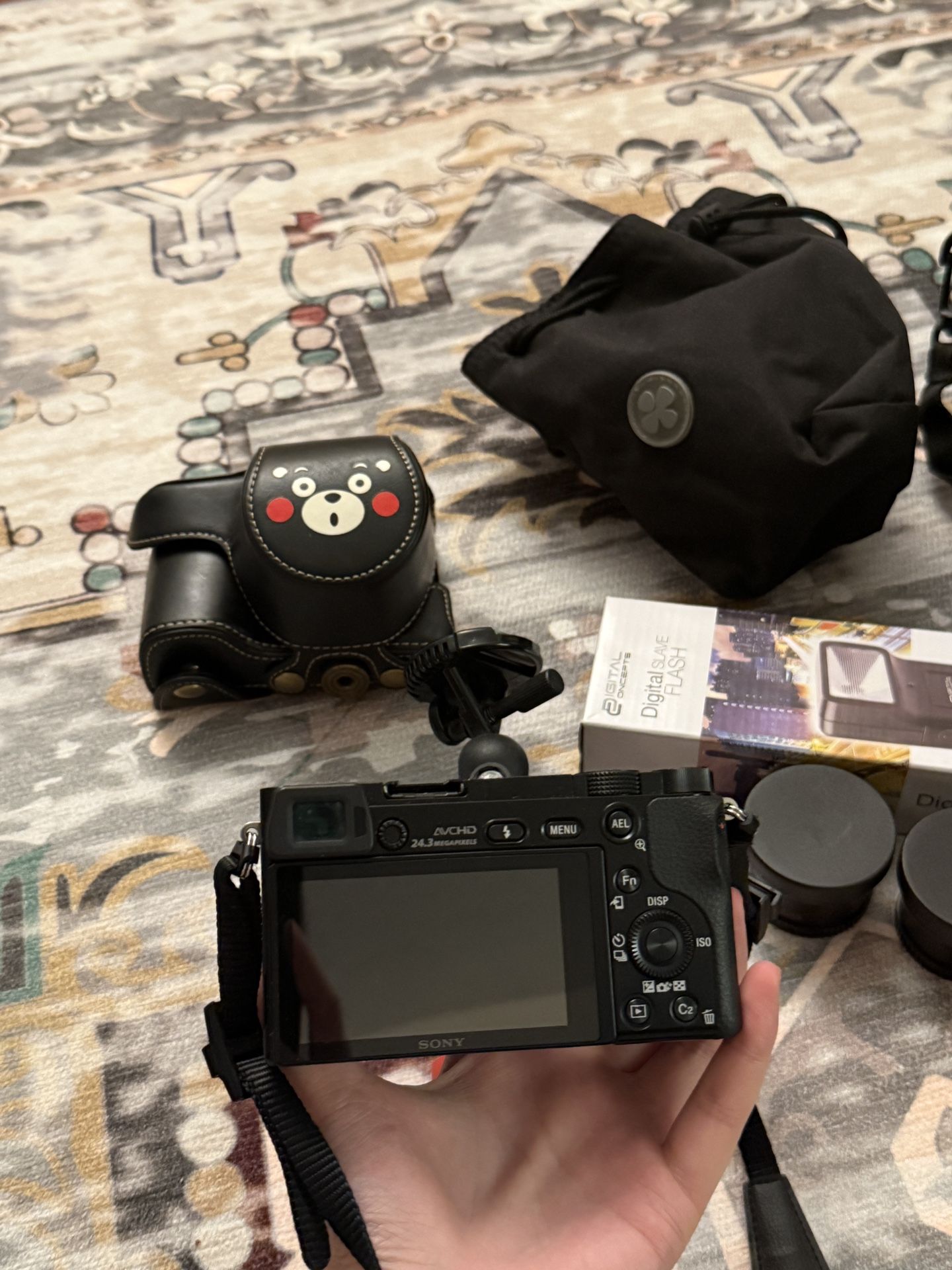 Sony Alpha a6000