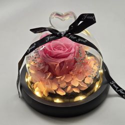 NEW Real Preserved Rose Everlasting Forever Eternal Flowers W/ LED Light