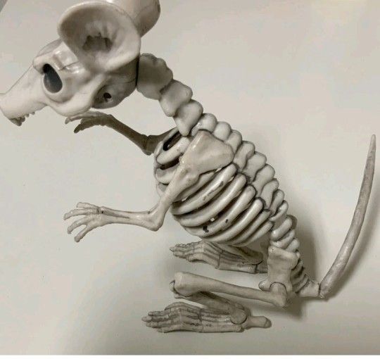 $15🥯🥯🔰 Hyde And Eek Halloween Decoration Rat Skeleton 7” Tall
