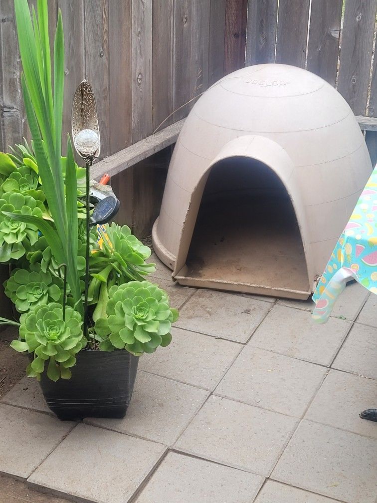 XL DOG IGLOO & LARGE DOG IGLOO