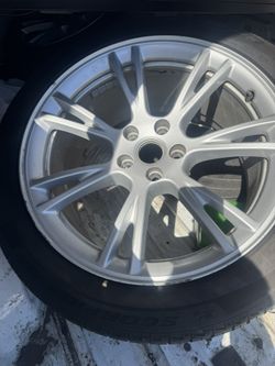 2022 Tesla Model Y OEM 19 Inch Rims