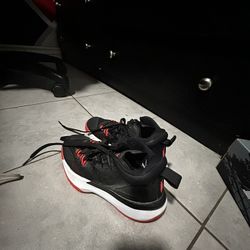 Zion Nike Basketball Shoes