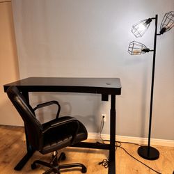 Costco Desk + Chair + Lamp