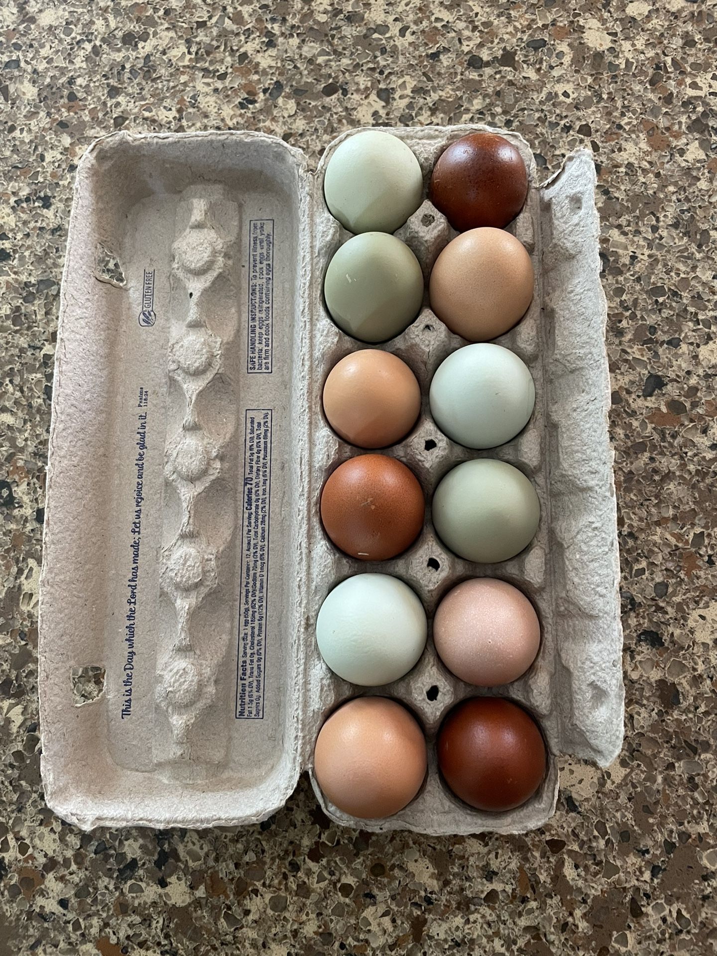 Farm Fresh Eggs