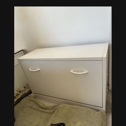 Shoe Organizer 
