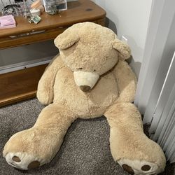 Costco Teddy Bear 