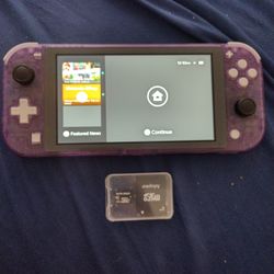 Custom Nintendo Switch Lite System (READ DESC)