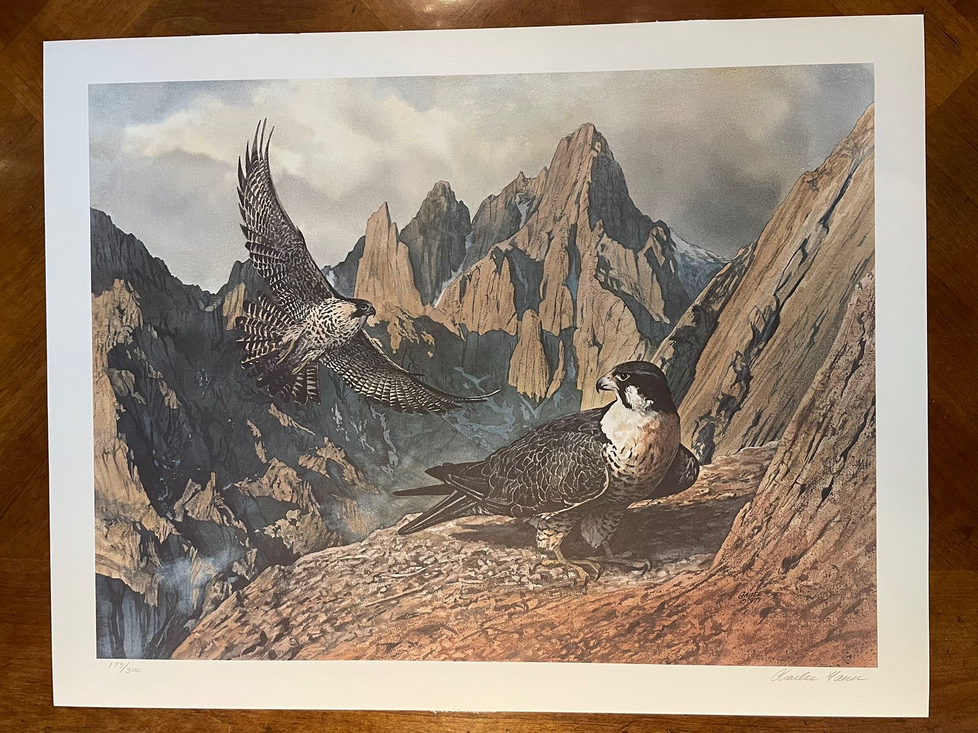 Charles Gause Lithograph Falcons Flight 21x27