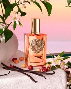 AUTHENTIC DOLCE & GABBANA DEVOTION EAU DE PARFUM INTENSE 100ML / 3.3 FL OZ NEW NEVER BEEN SPRAYED