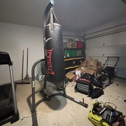 Everlast Punching Bag And Stand 