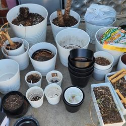 Pots 100 Obo For All