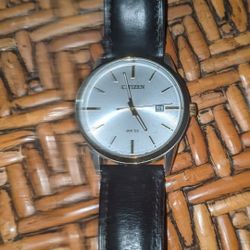 Citizens Quartz Watch