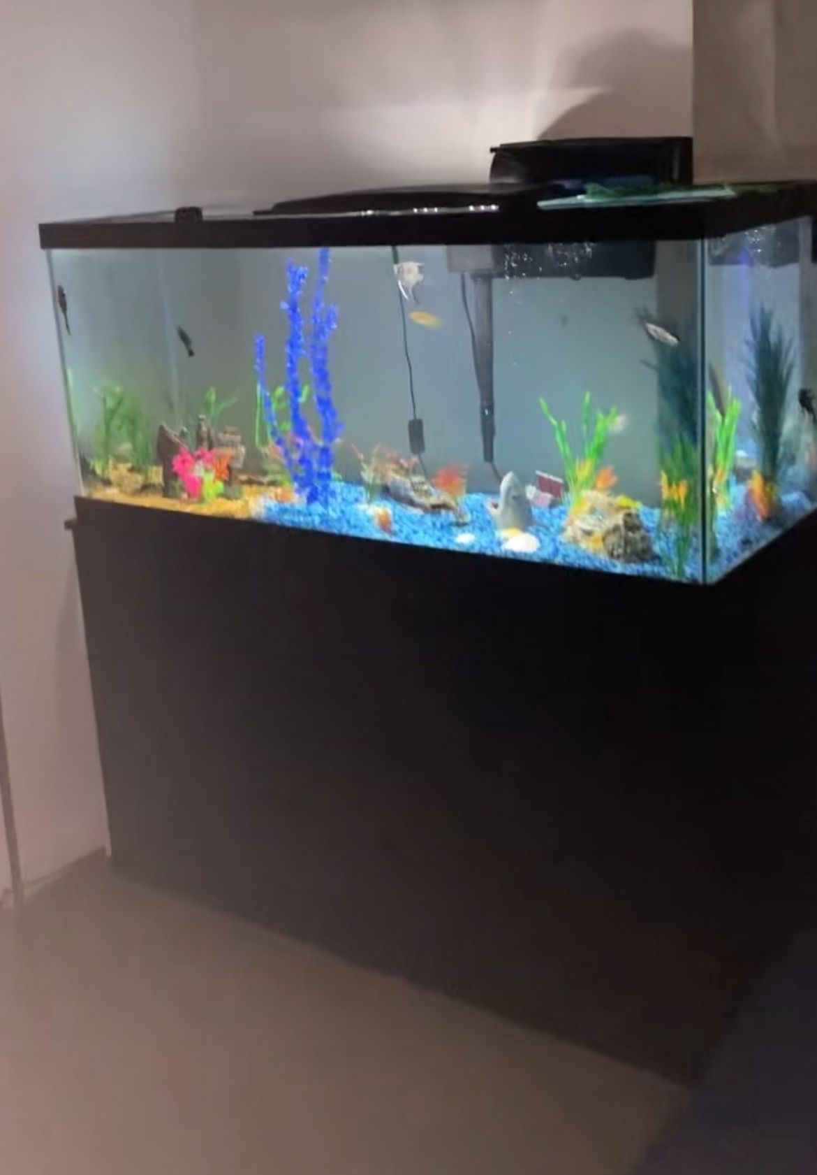 Fish Tank 75 Gallons With Openable Door Stand and 90 Gallon Filter