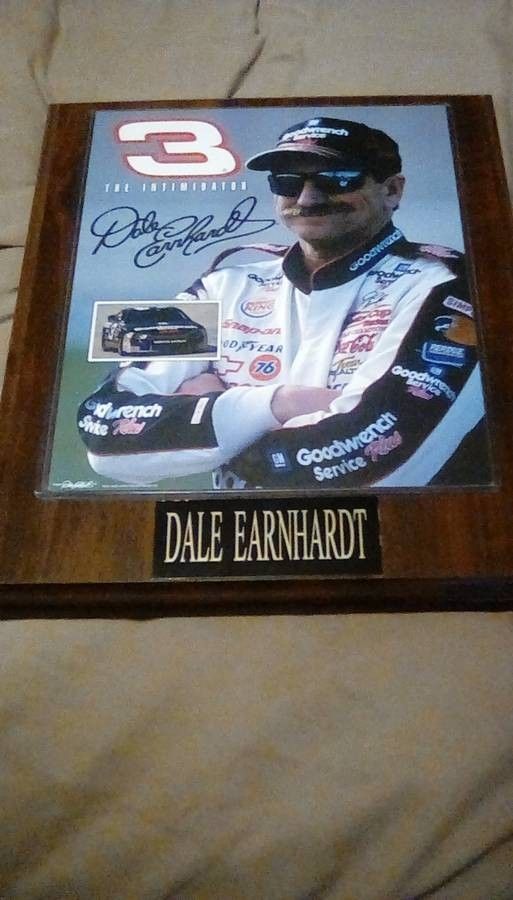 Dale Sr and Dale Jr pictures.
