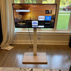 42’ Vizio Smart Tv With Tv Stand