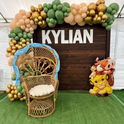 Lion king baby shower  