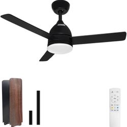 Ceiling Fan with Light