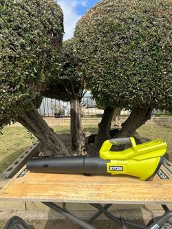 Ryobi 40v blower