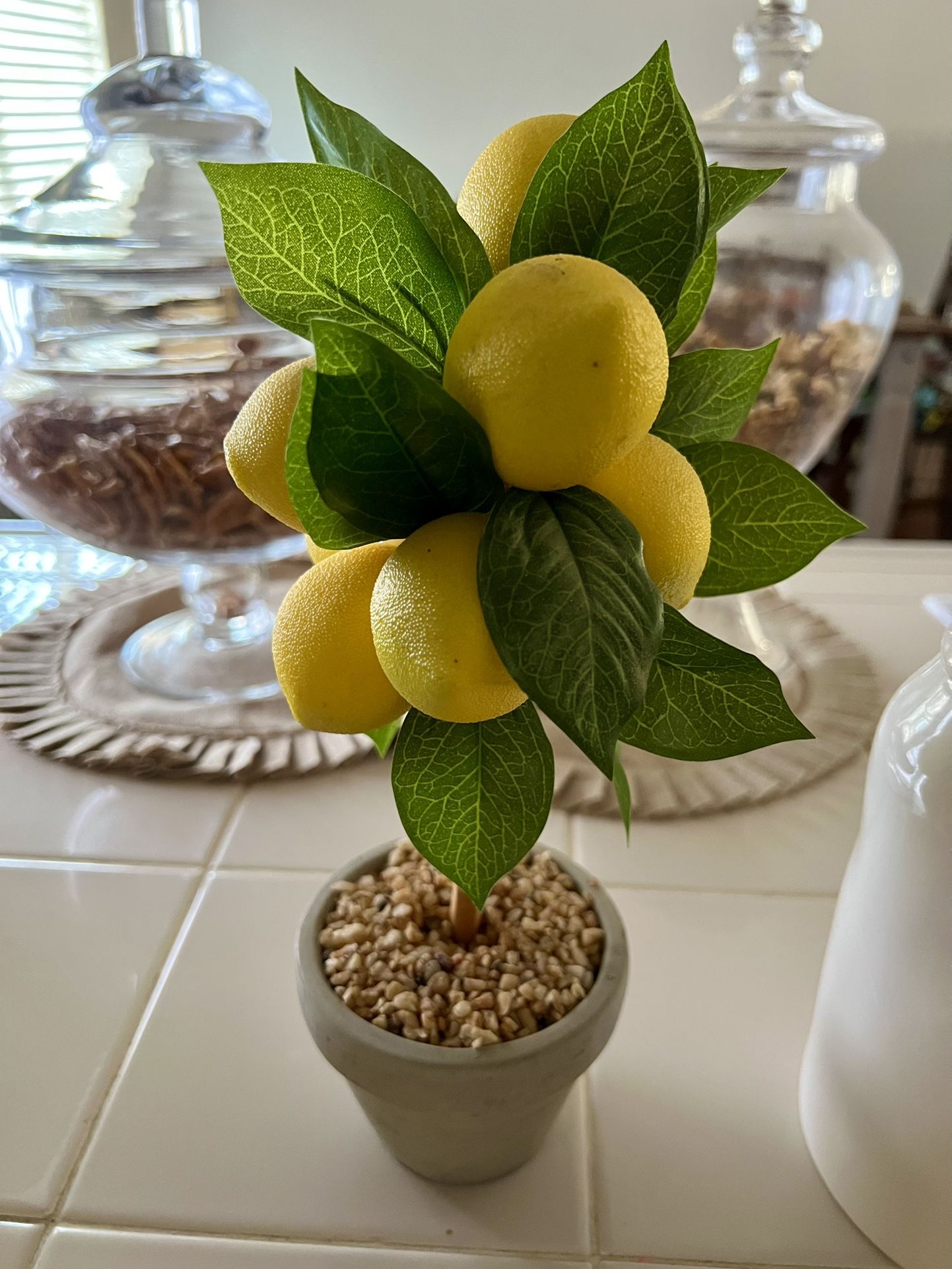 Lemon Topiary 