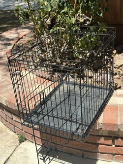 Pet Crate 