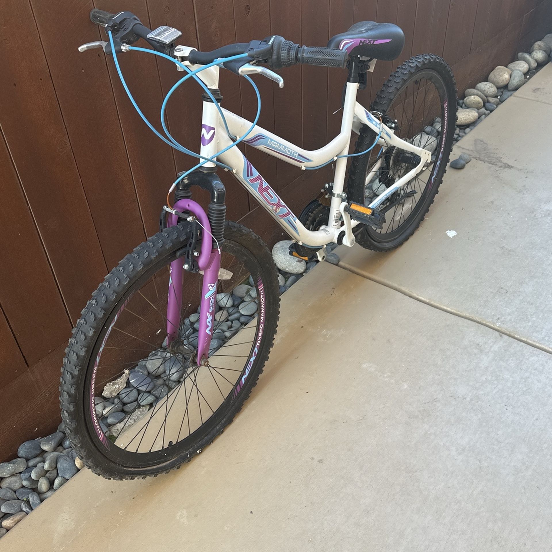 Mountain Bike