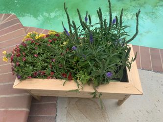 Handmade plants stand serious inquires no bargain